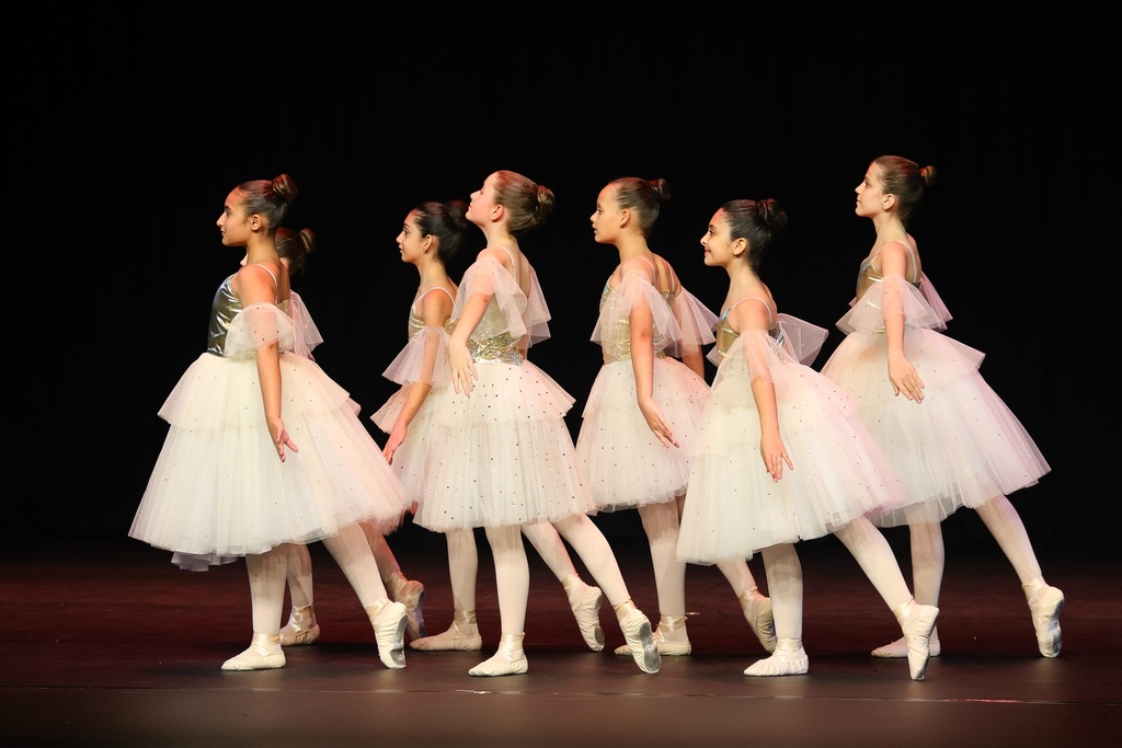 Fantazia Ballet