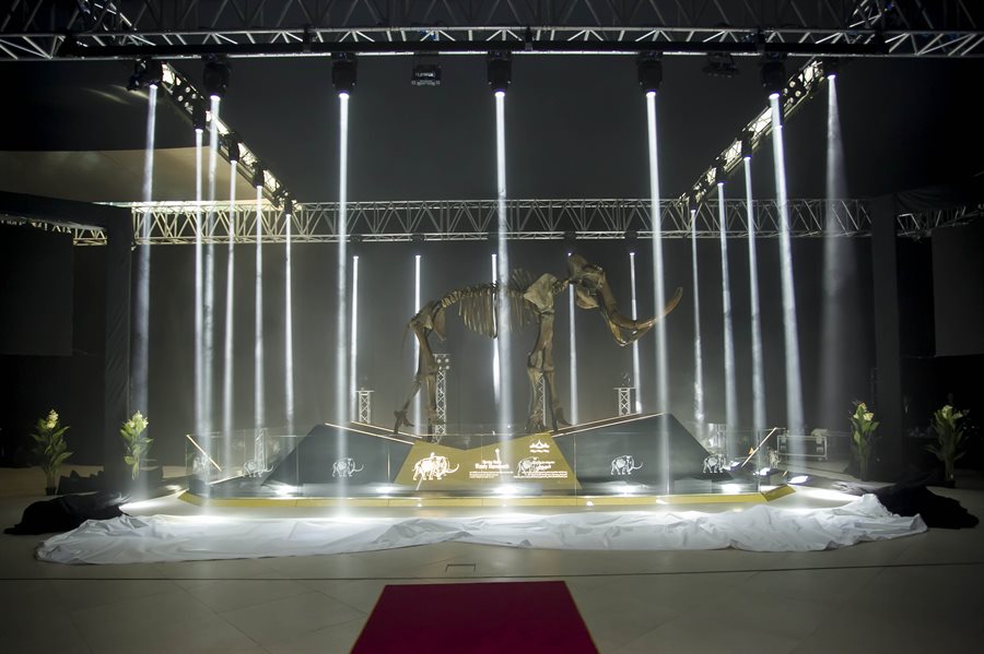 Woolly Mammoth Unveiling