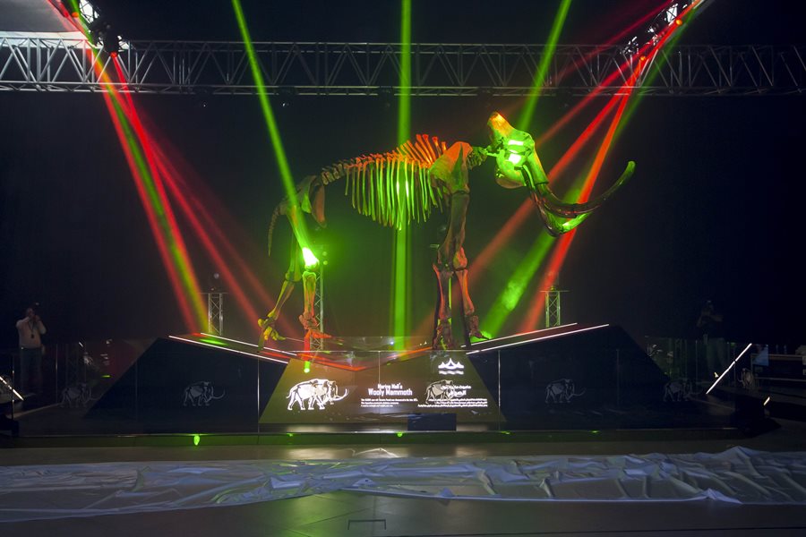 Woolly Mammoth Unveiling