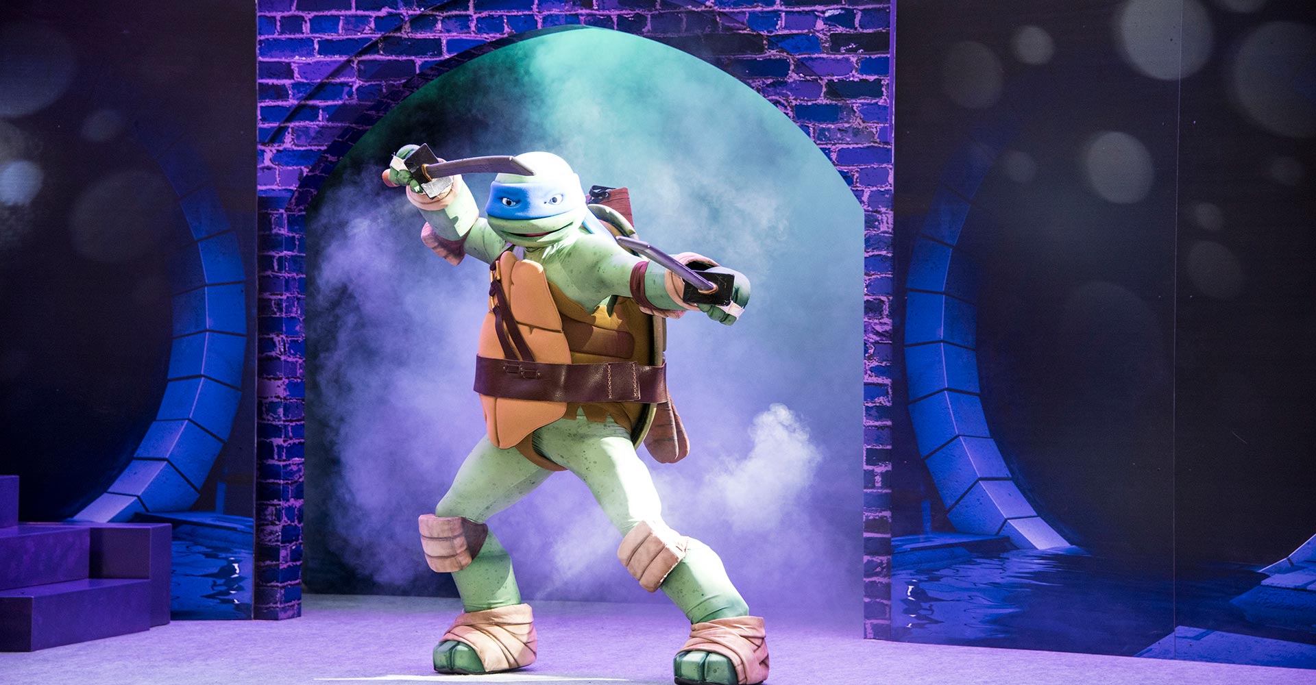 Ninja Turtles