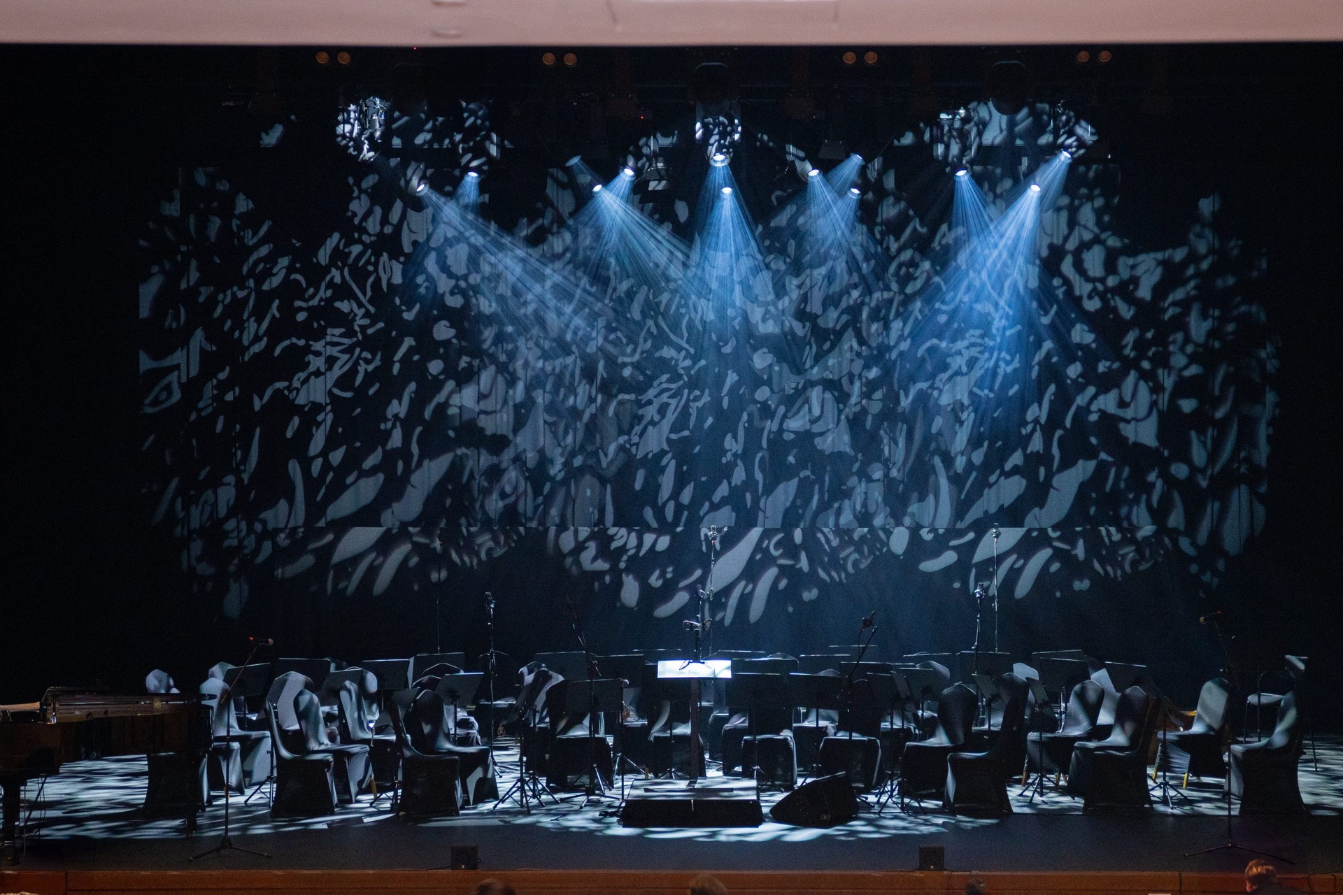Youth Orchestra